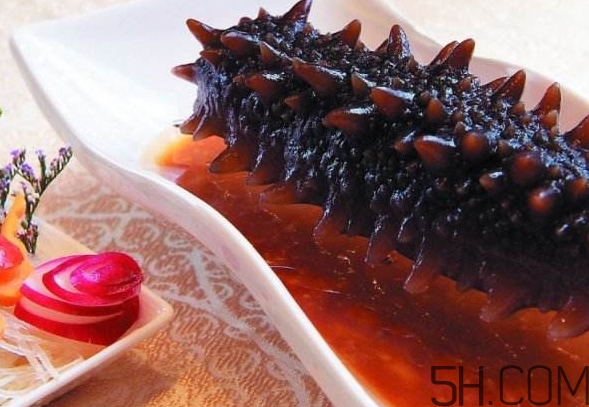 海參怎么挑？海參怎么選購？