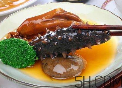 海參是海鮮嗎？海參是動物還是植物？