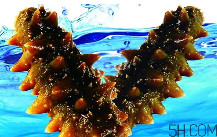 海參是酸性還是堿性？海參是涼性還是熱性？