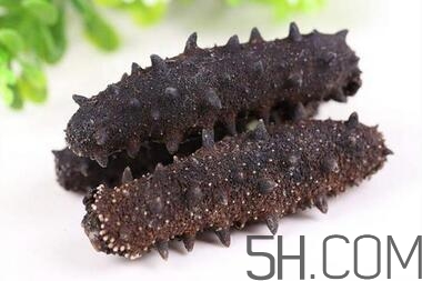 海參是越大越好嗎？海參的生長(zhǎng)年限與營(yíng)養(yǎng)價(jià)值有關(guān)嗎？