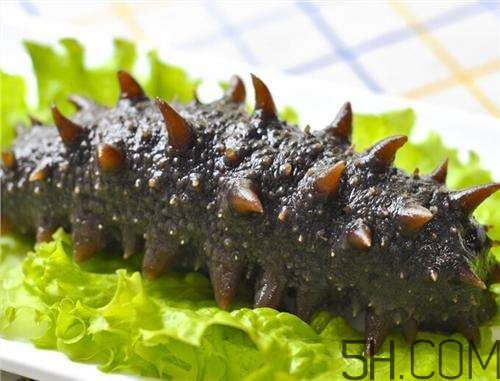 海參哪些部位不能吃？海參的禁忌人群