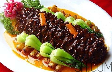 海參是高蛋白食物嗎？海參是素食嗎？