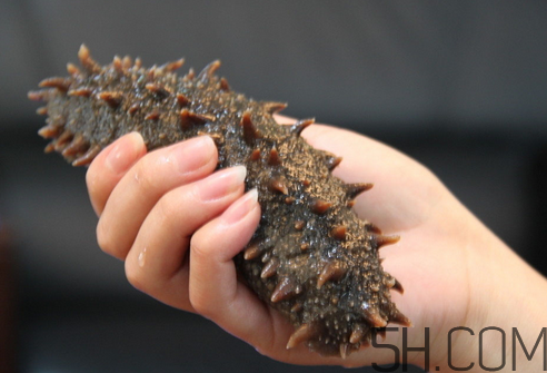 海參能和西紅柿一起吃嗎？海參和什么一起吃最好？