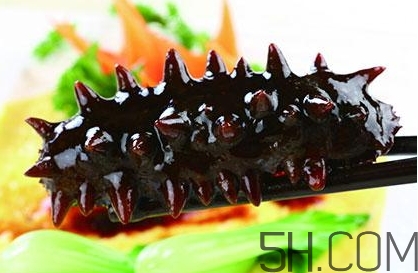 海參是高蛋白食物嗎？海參是素食嗎？