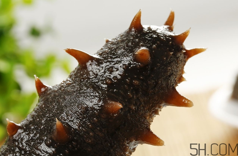 術后能吃海參嗎？術后吃海參的功效與作用