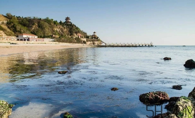 海參顏色深好還是淺好？海參顏色發(fā)白時(shí)怎么回事？