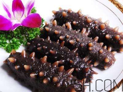 海參是高蛋白食物嗎？海參是素食嗎？