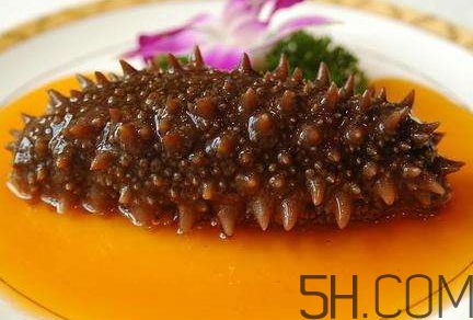 海參怎么挑？海參怎么選購？