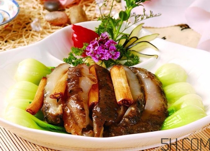 海參是高蛋白食物嗎？海參是素食嗎？