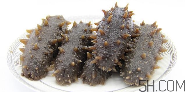 海參是越大越好嗎？海參的生長(zhǎng)年限與營(yíng)養(yǎng)價(jià)值有關(guān)嗎？