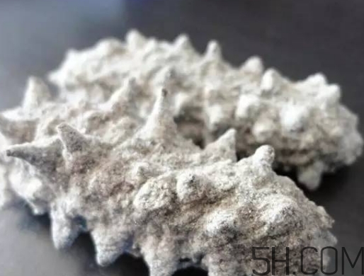 海參顏色深好還是淺好？海參顏色發(fā)白時(shí)怎么回事？