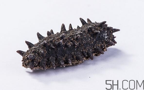 海參是越大越好嗎？海參的生長(zhǎng)年限與營(yíng)養(yǎng)價(jià)值有關(guān)嗎？