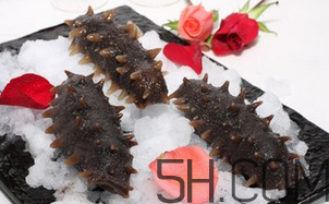 海參是酸性還是堿性？海參是涼性還是熱性？