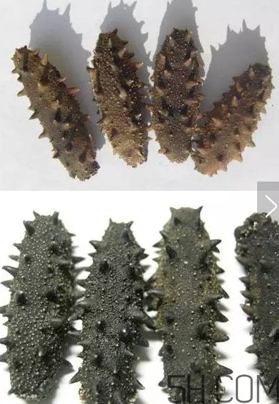 海參顏色深好還是淺好？海參顏色發(fā)白時(shí)怎么回事？