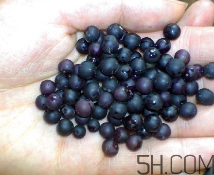 龍葵果可以治癌癥嗎？吃龍葵果有什么好處