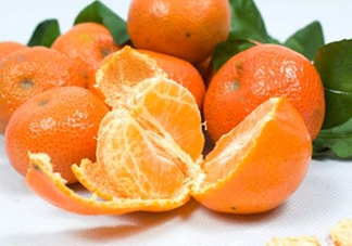 沙糖桔什么時候施鉀肥？沙糖桔什么時候種植