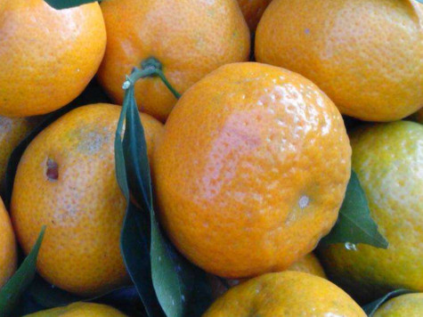 沙糖桔是哪里的特產(chǎn)？沙糖桔什么時(shí)候上市