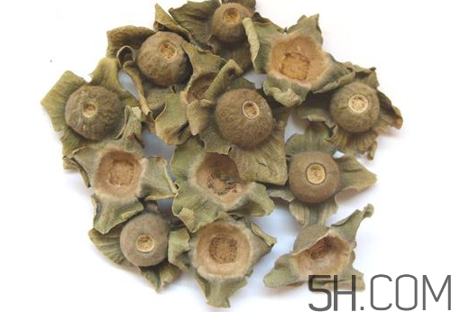 柿蒂治打嗝怎么煮水？柿蒂的功效與作用