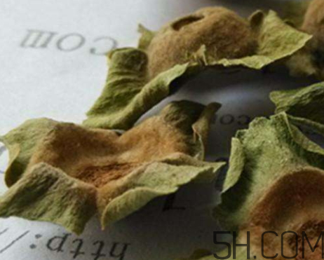 柿蒂治打嗝怎么煮水？柿蒂的功效與作用