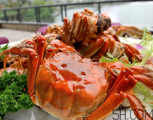 大閘蟹可以和南瓜一起吃嗎？螃蟹不能和什么水果一起吃？