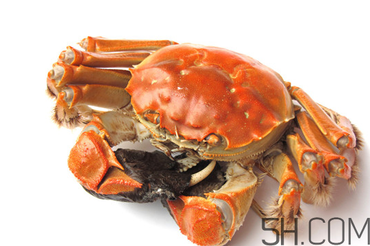 大閘蟹可以和南瓜一起吃嗎？螃蟹不能和什么水果一起吃？