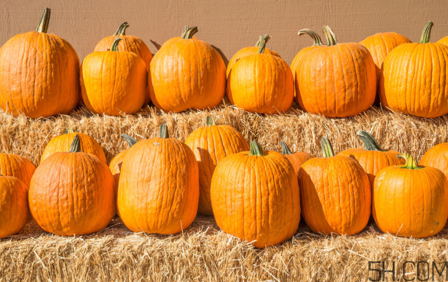 大閘蟹可以和南瓜一起吃嗎？螃蟹不能和什么水果一起吃？