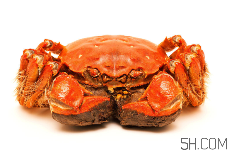 大閘蟹和南瓜一起吃會(huì)有什么后果？大閘蟹和南瓜一起吃要注意什么？