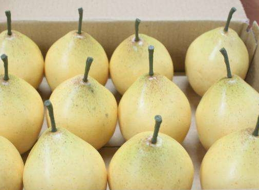 中秋節(jié)可以送水果嗎？中秋節(jié)送什么水果？