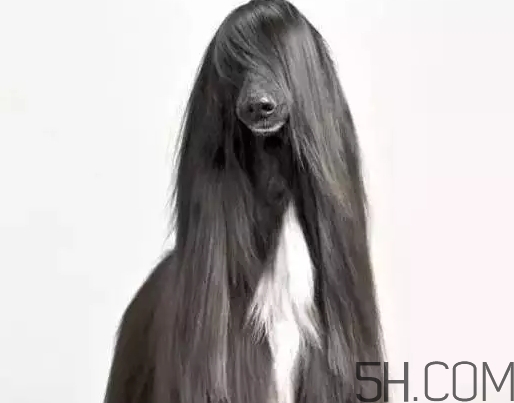 發(fā)蠟可以帶上飛機(jī)嗎？發(fā)蠟可以帶上高鐵嗎