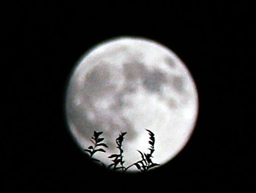 中秋節(jié)能上墳嗎？中秋節(jié)上墳買什么水果？