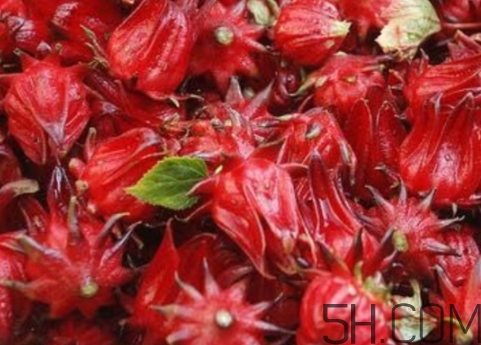 洛神果是什么？洛神果和洛神花區(qū)別