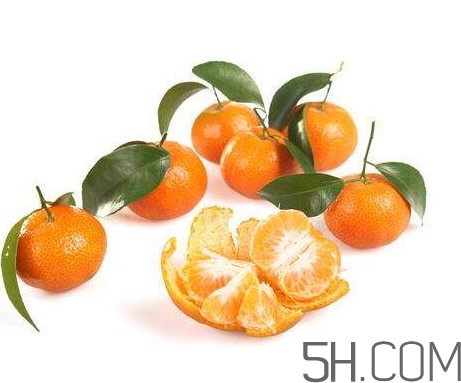 沙糖桔大的好吃還是小的？沙糖桔什么時(shí)候成熟