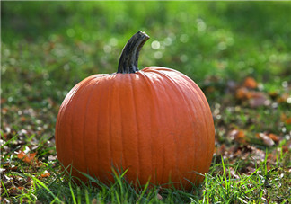 南瓜和桃子一起能長期吃嗎？吃南瓜皮膚變黃怎么辦？