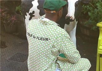 golf與converse聯(lián)名鞋款實(shí)物什么樣_上腳效果