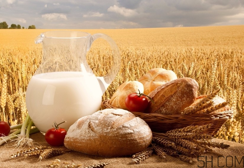 純牛奶好還是早餐奶好？純牛奶和早餐奶有什么區(qū)別