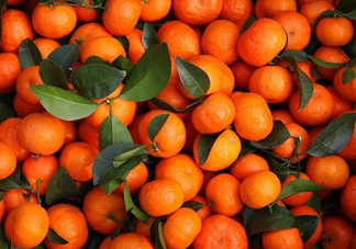 沙糖桔有籽嗎？沙糖桔有什么營養(yǎng)價值