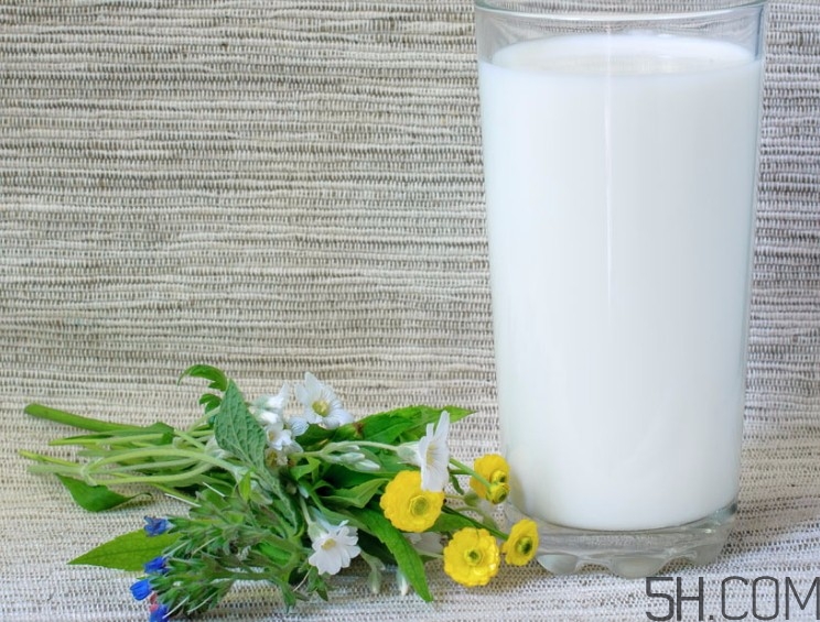 怎樣喝牛奶才健康？牛奶和什么一起喝效果最好？