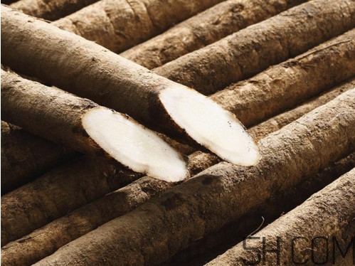 牛蒡是牛大力嗎？牛蒡和牛大力的區(qū)別