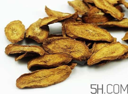 牛蒡是什么東西？牛蒡有什么功效？