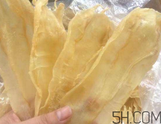 魚膠怎么吃？魚膠的功效和食用方法