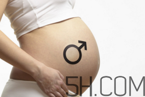 懷男孩和懷女孩的特征是什么？孕婦肚子硬生男生女？