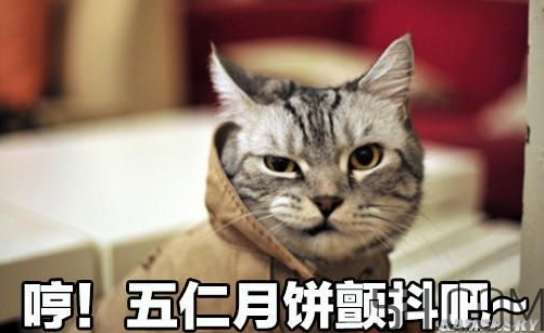 十仁月餅是哪十仁？十仁月餅好吃嗎