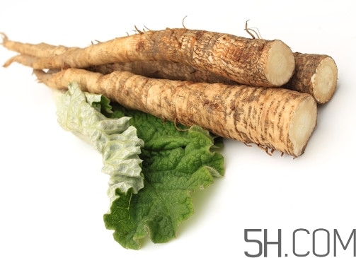 牛蒡是什么東西？牛蒡有什么功效？