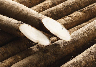 牛蒡是牛大力嗎？牛蒡和牛大力的區(qū)別