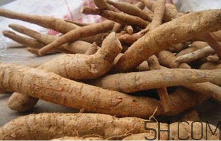 牛蒡用去皮嗎？牛蒡茶什么時候喝最好