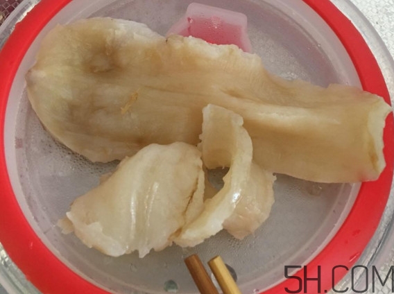 魚(yú)膠是魚(yú)泡嗎？魚(yú)膠是海鮮嗎