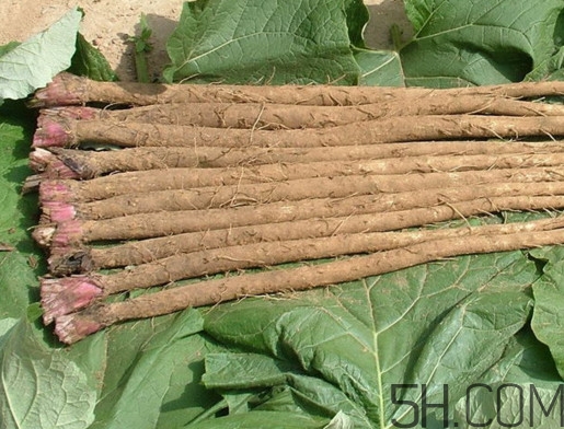 牛蒡是牛大力嗎？牛蒡和牛大力的區(qū)別