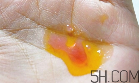 安娜柏林橙花蜜怎么用？安娜柏林橙花蜜使用方法