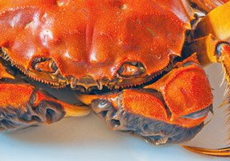 中秋節(jié)可以送大閘蟹嗎？中秋節(jié)為什么要送大閘蟹