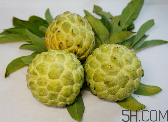 釋迦果就是番荔枝嗎?番荔枝和釋迦的區(qū)別 釋迦果就是番荔枝嗎?番荔枝和釋迦的區(qū)別